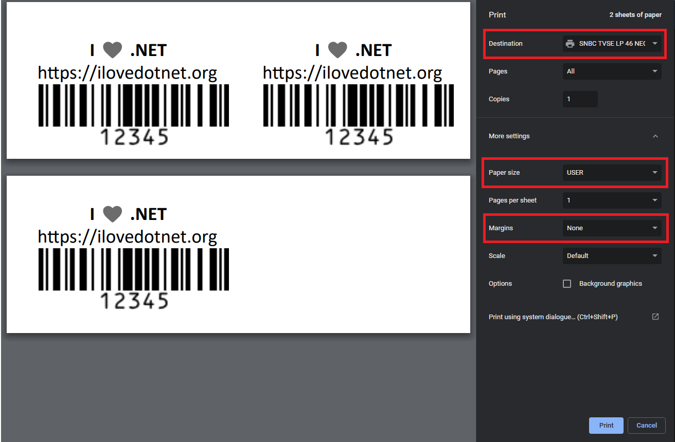 browser print window